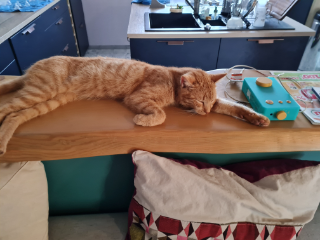 Photo de Caramel