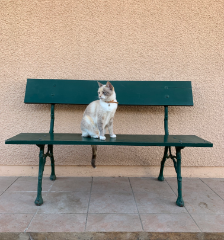 Pêche
