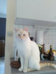 Photo de Noé
