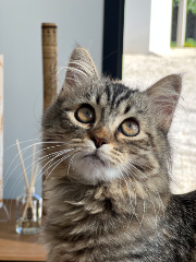 Photo de SKY