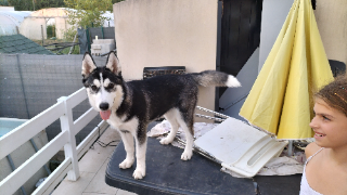 Photo de Xena