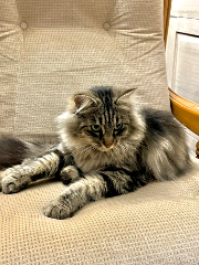 Photo de Mimie