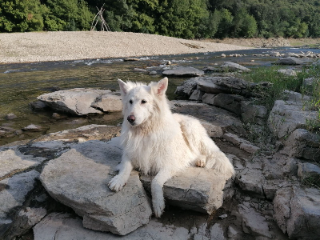 Alaska