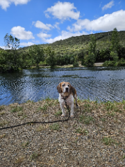 Photo de Ioshi