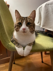 Quincy