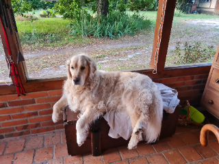 Photo de NIMBUS