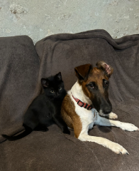 Photo de Tzitlali