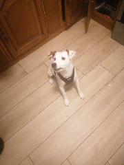Photo de Oki