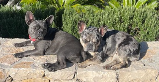Photo de Samy