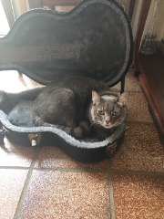 Photo de Pacha