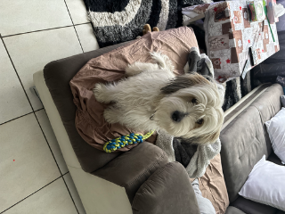Photo de Uzo