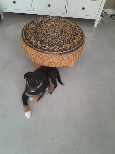 Photo de DJANGO