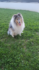 Photo de Nanouk