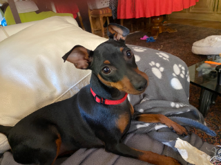 Photo de Tosca