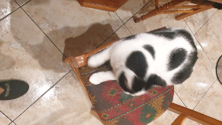 Photo de UTOPY