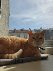 Cachou