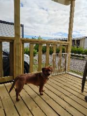 Photo de Twix