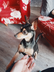Photo de Ruby