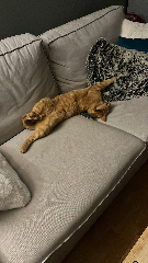 Photo de Escobar