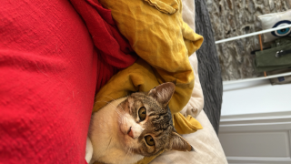 Photo de Cookie