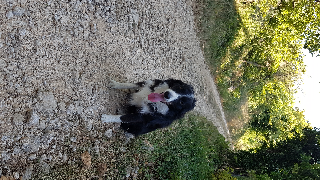 Photo de NALA
