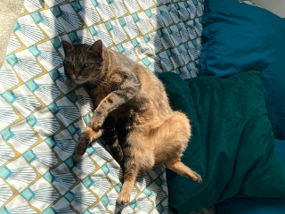 Nala