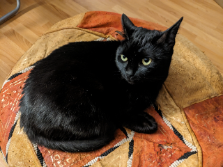 Photo de Salem