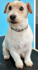 Photo de ROXY