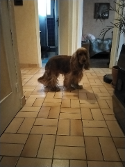 Photo de TACO