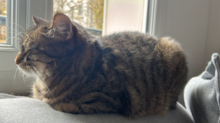 Photo de Mia