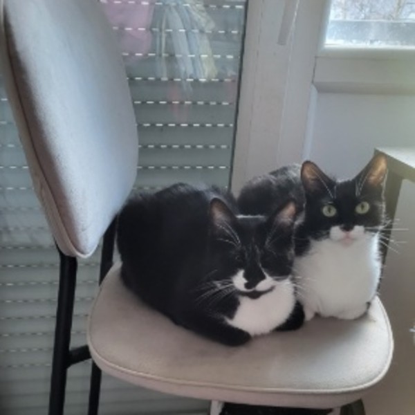 Photo de Aiko