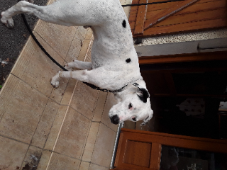 Photo de Junior