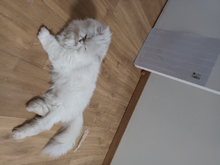 Photo de Clara
