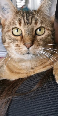 Photo de Bohême