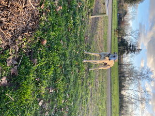 Doby