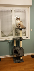 Photo de BERLIOZ