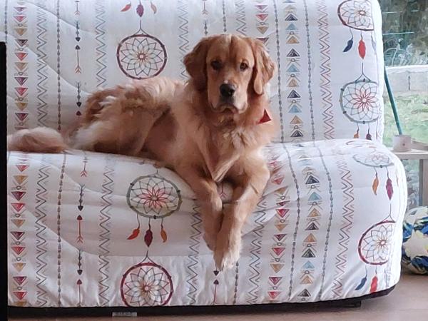 Photo de Caramel