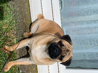 Photo de TAZ