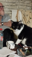 Photo de Oscar