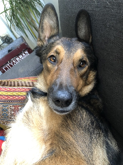 Photo de Léo