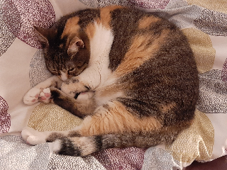 Douceur