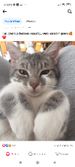Photo de Mimi