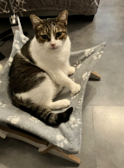 Photo de Précieuse
