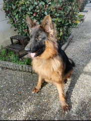 Photo de Taïko
