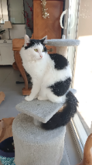 Photo de Oscar