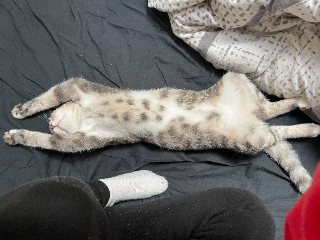 Photo de Clyde