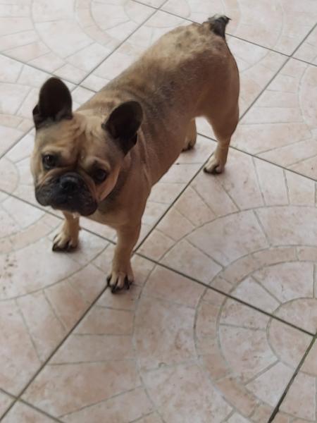 Photo de phoebe