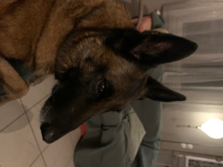 Photo de Oscar