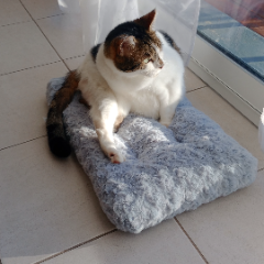 Ina
