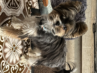 Photo de Bounty